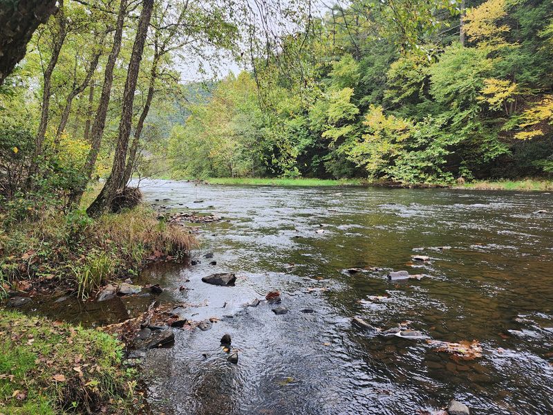 Paddling and Fishing on 400 Miles of Cold Water Streams