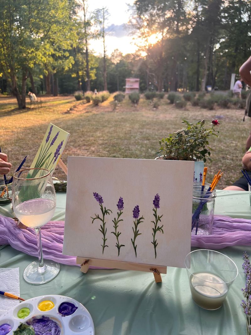Paint And Sip Evenings In The Field