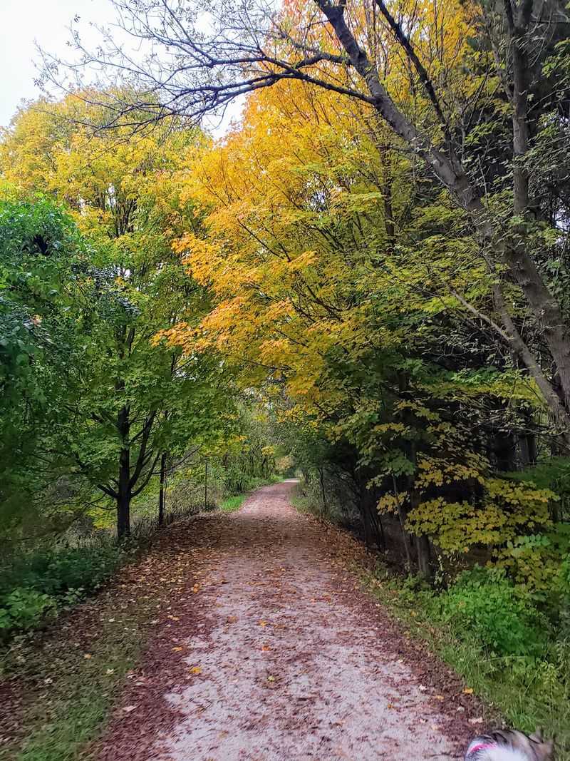 Paint Creek Trail, Rochester, Michigan Paint Creek Trail, Rochester, Michigan