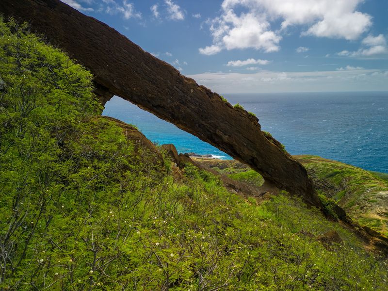 Panoramic Ocean Views That Reward Every Step Panoramic Ocean Views That Reward Every Step