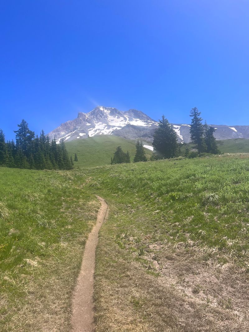 Paradise Park - Mount Hood Paradise Park - Mount Hood