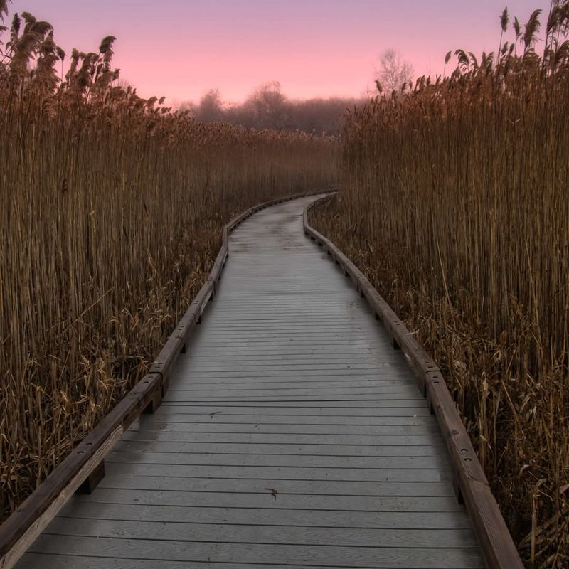 Parker River National Wildlife Refuge, Newburyport Parker River National Wildlife Refuge, Newburyport