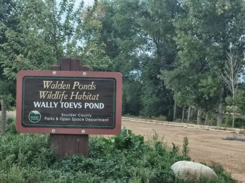 Parking, Access, and Getting Your Bearings on Arrival