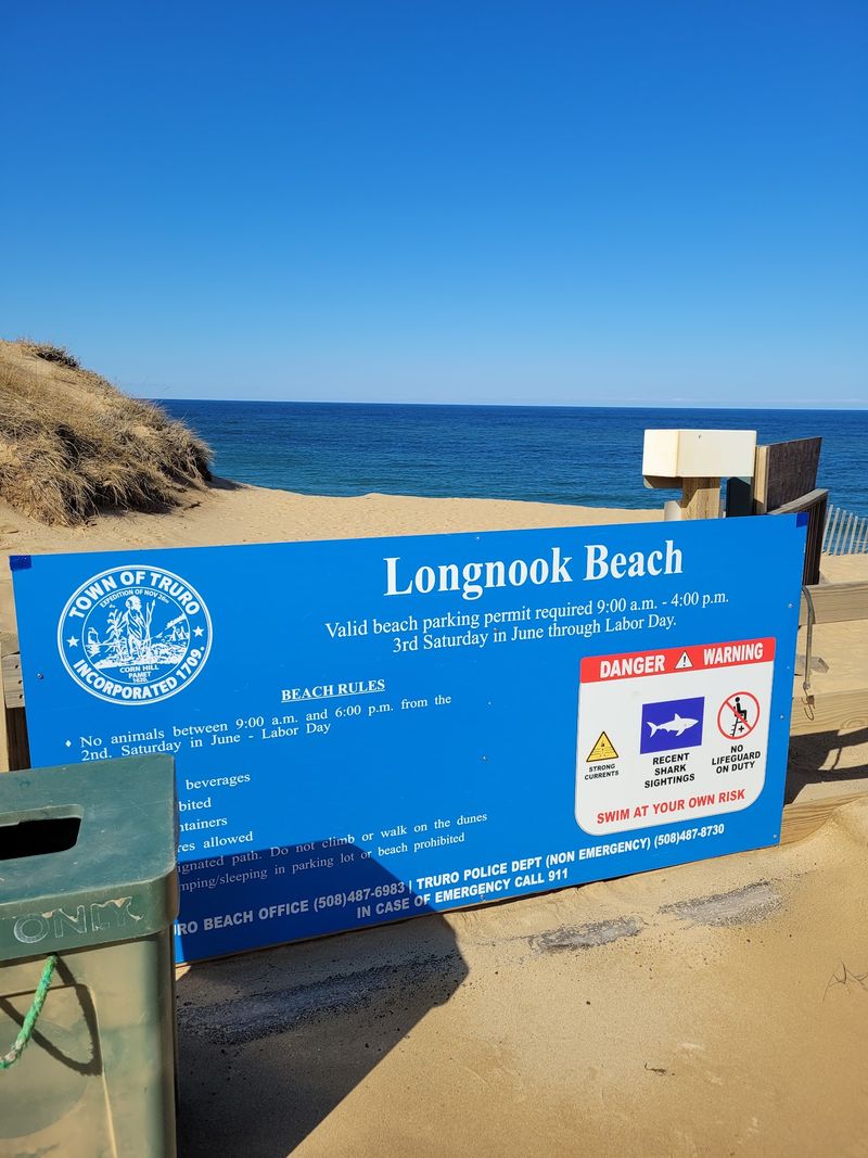 Parking, Permits, and Timing Your Visit