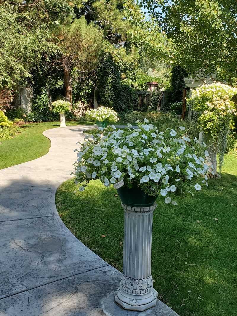 Pathways Designed for Wandering and Wondering