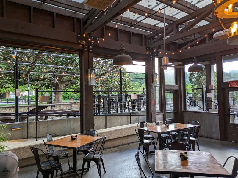 Patio Seating and Dog-Friendly Comfort Patio Seating and Dog-Friendly Comfort