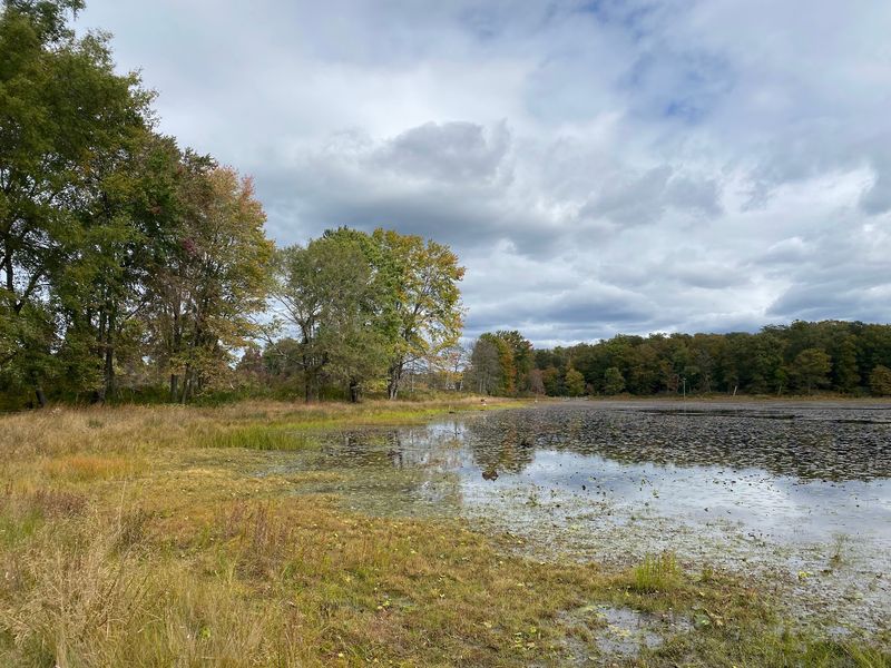 Patuxent Research Refuge, Laurel, Maryland