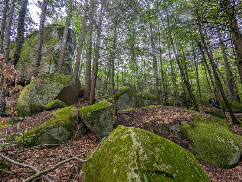 Pawtuckaway State Park, Nottingham, New Hampshire