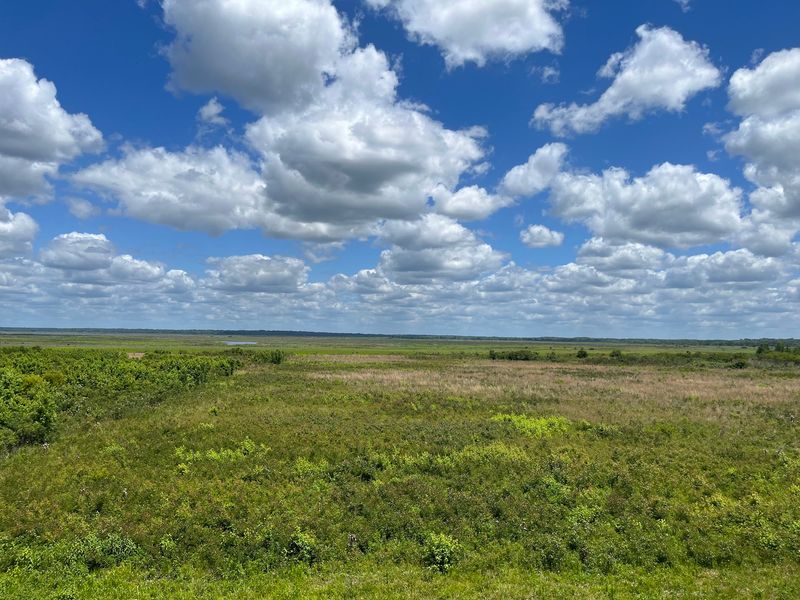 Paynes Prairie Preserve State Park, Micanopy, Florida Paynes Prairie Preserve State Park, Micanopy, Florida