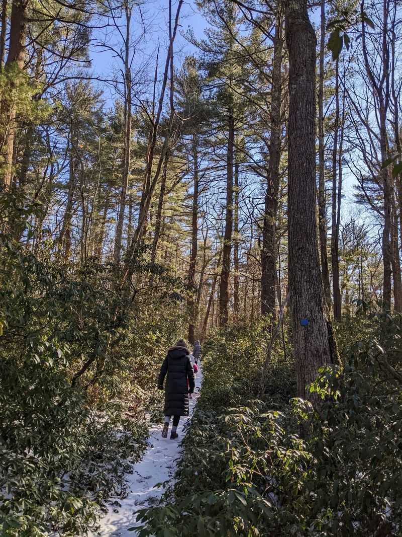 Peace, Quiet, and Who It Suits Peace, Quiet, and Who It Suits