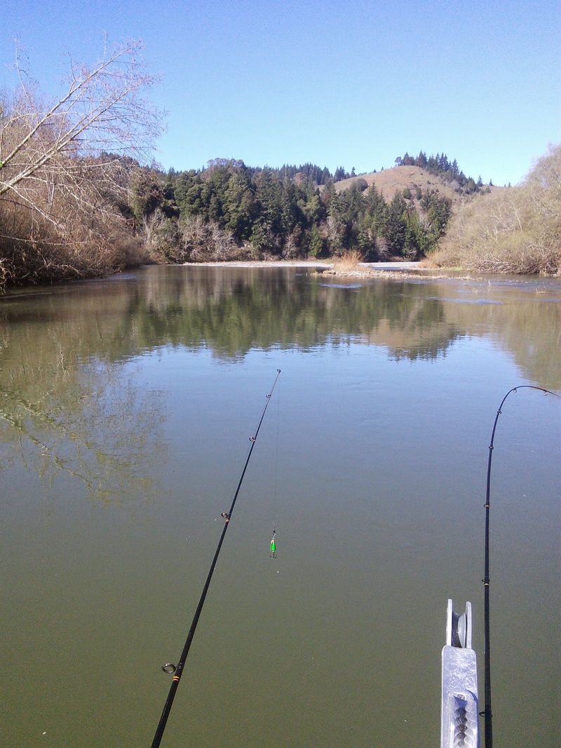 Peaceful Fishing Spots for Bank Anglers Peaceful Fishing Spots for Bank Anglers