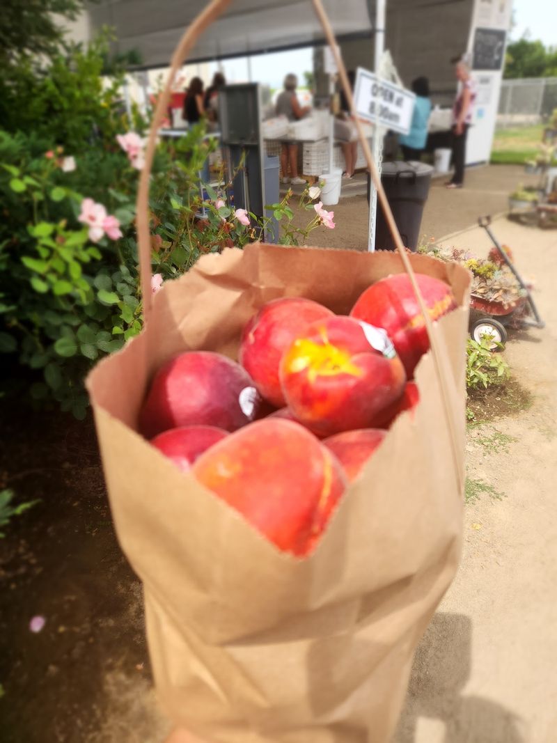 Peaches Worth the Whole Trip