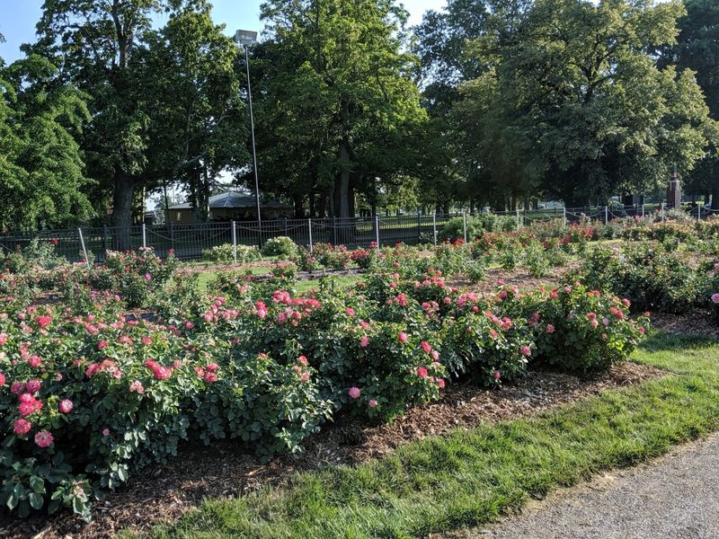 Peak Bloom Windows You Will Want to Plan Around Peak Bloom Windows You Will Want to Plan Around