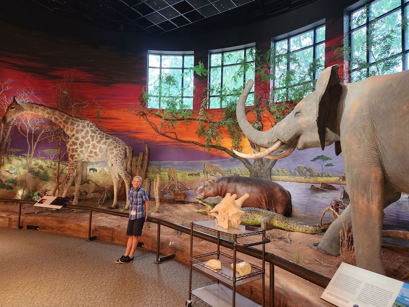Pennsylvania's Largest African Mammal Collection Under One Roof Pennsylvania's Largest African Mammal Collection Under One Roof