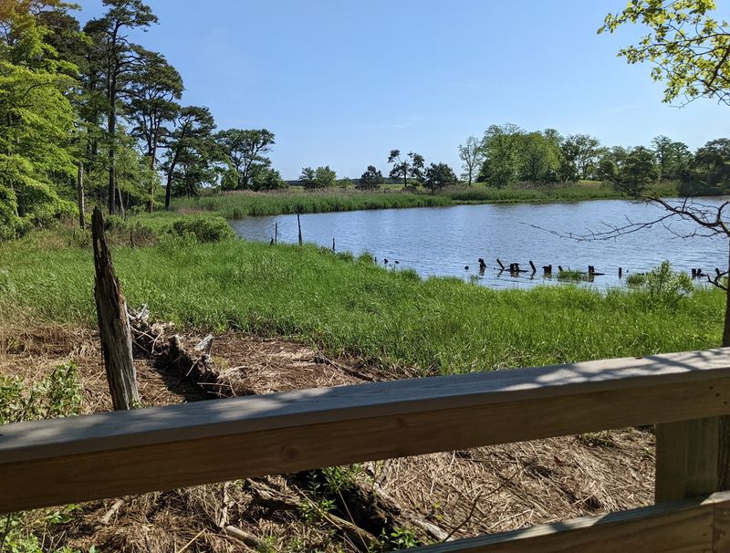 Pepper Creek Frontage and the Eagle Watch Experience