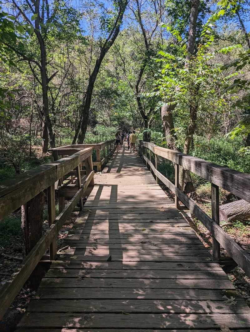 Perfect for Families and First-Timers