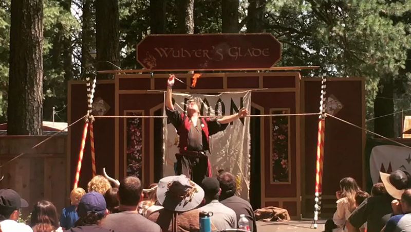 Performances, Shows, and Street Entertainment