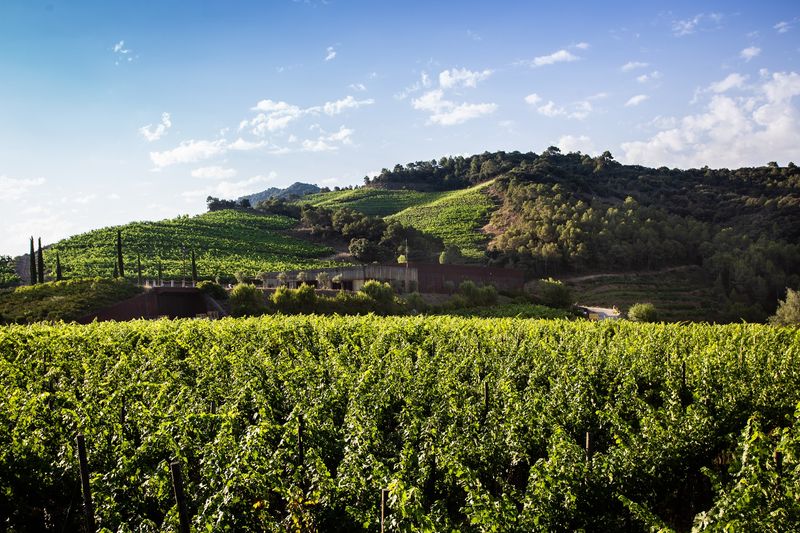 Perinet, Priorat Perinet, Priorat