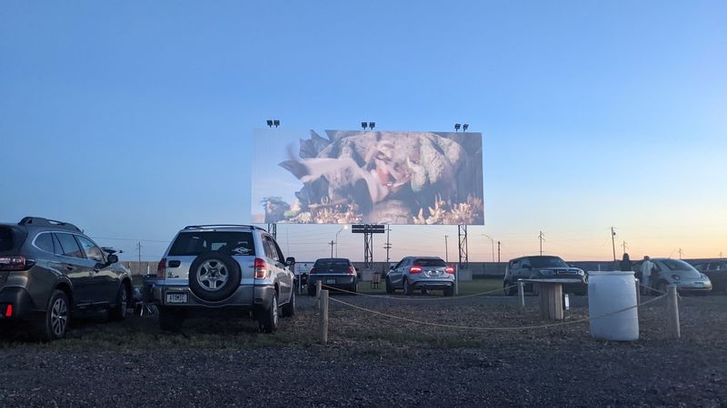 Pet-Friendly Policy: Four-Legged Movie Fans Welcome Pet-Friendly Policy: Four-Legged Movie Fans Welcome