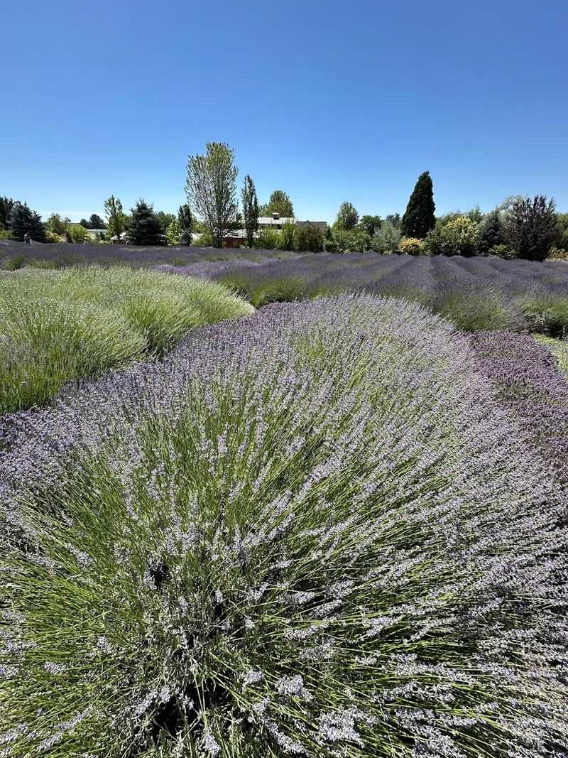 Photo Spots That Would Make Any Photographer Do a Double Take