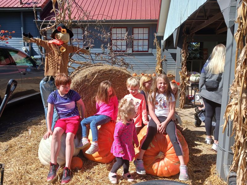 Photo Spots and Seasonal Visits from Santa Photo Spots and Seasonal Visits from Santa
