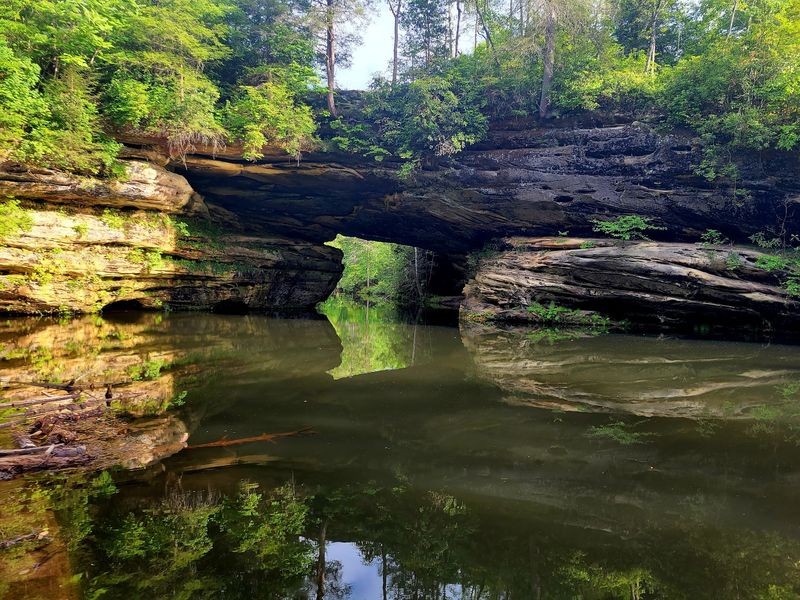 Pickett CCC Memorial State Park, Jamestown