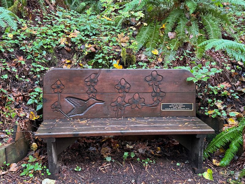 Picnic Areas, Grills, and Gathering Spaces Picnic Areas, Grills, and Gathering Spaces