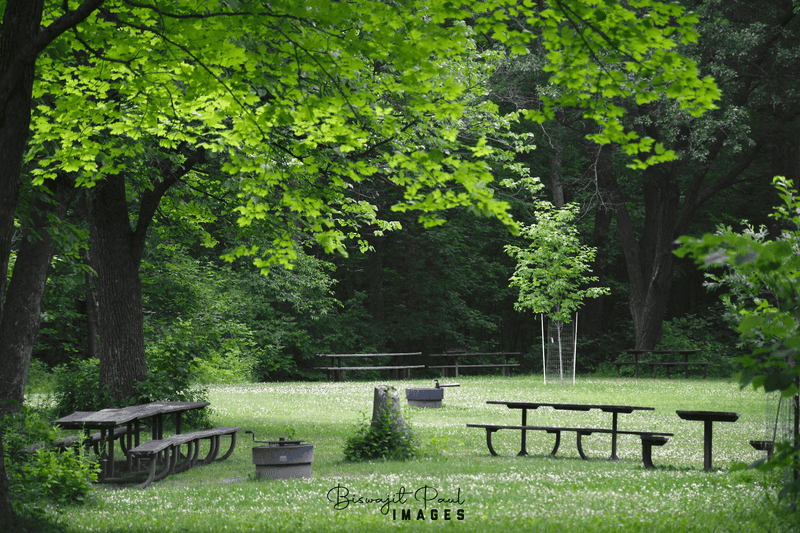 Picnic Areas, Playgrounds, and Practical Visitor Details Picnic Areas, Playgrounds, and Practical Visitor Details