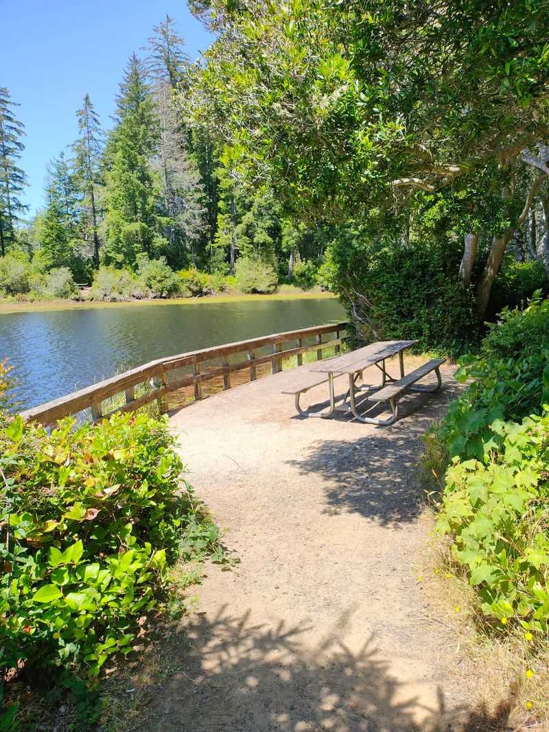 Picnic Areas and Facilities on Site Picnic Areas and Facilities on Site