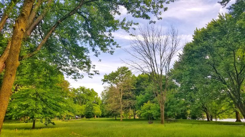 Picnic Areas and Family Fun: A Spot for Every Age Picnic Areas and Family Fun: A Spot for Every Age