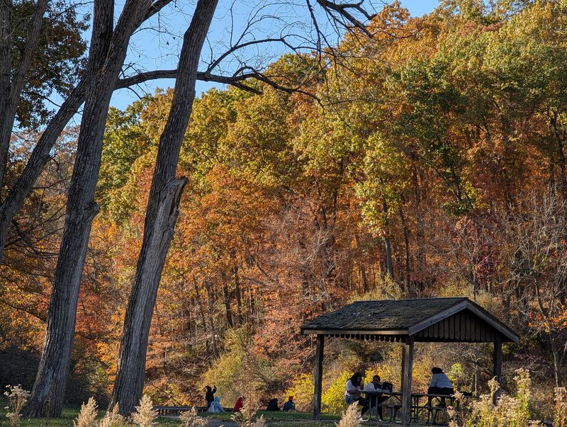 Picnic Areas and Shelters With Surprisingly Good Views Picnic Areas and Shelters With Surprisingly Good Views