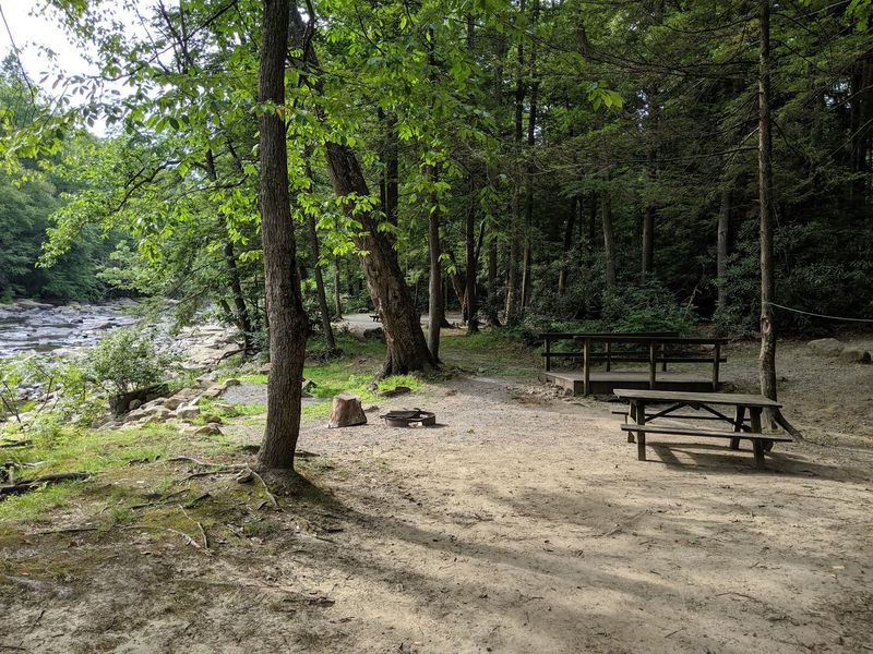 Picnic Grounds, Playgrounds, and the Practical Details Picnic Grounds, Playgrounds, and the Practical Details