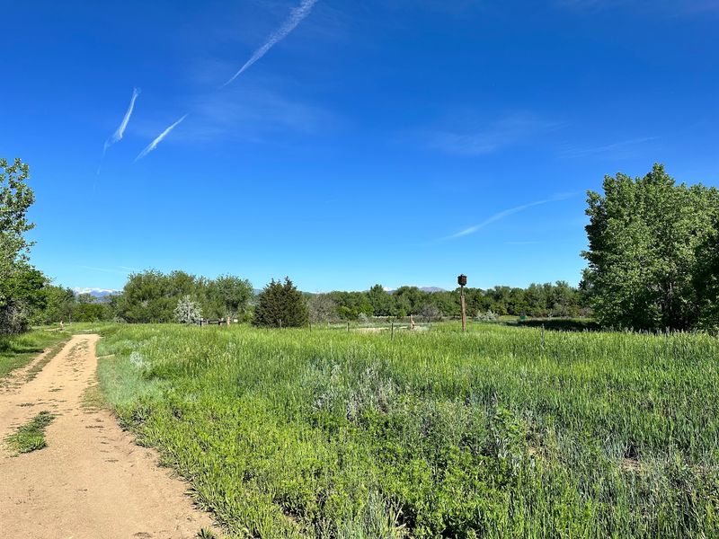 Picnic Shelters, Benches, and the Slower Pace This Place Encourages