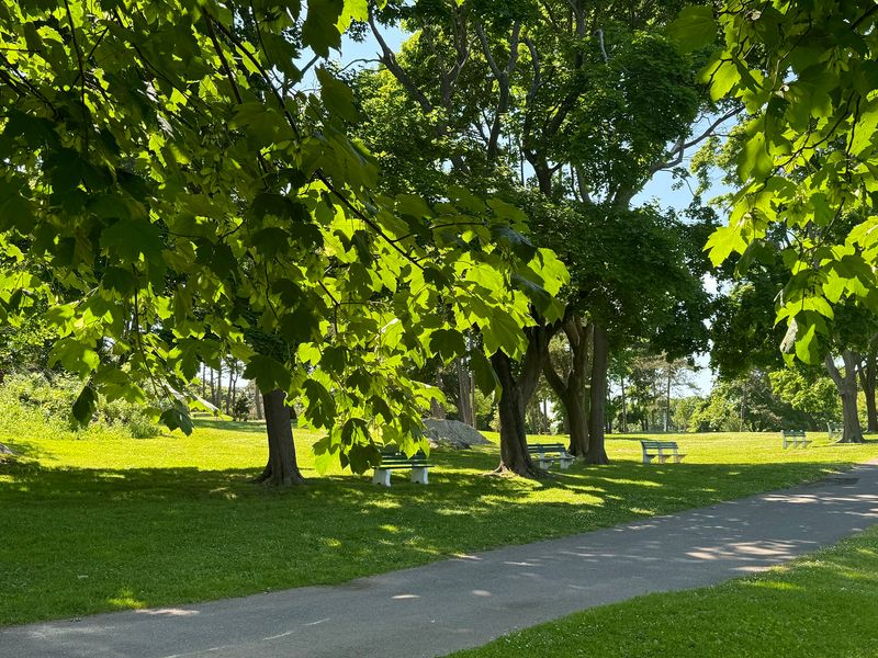 Picnic Spots, Cookouts, and Room to Roam Picnic Spots, Cookouts, and Room to Roam