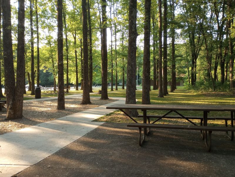 Picnic Spots, Shelters, and Family-Friendly Facilities Picnic Spots, Shelters, and Family-Friendly Facilities