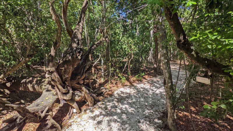 Picnic Spots and an Unhurried Pace Picnic Spots and an Unhurried Pace