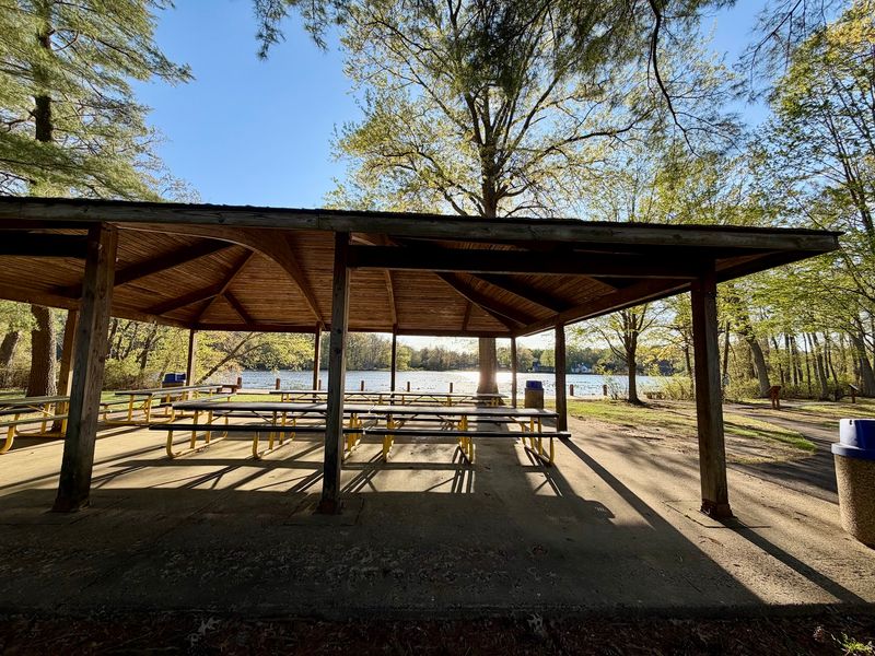 Picnic Tables, Gazebo Space, And A Short Pause Picnic Tables, Gazebo Space, And A Short Pause