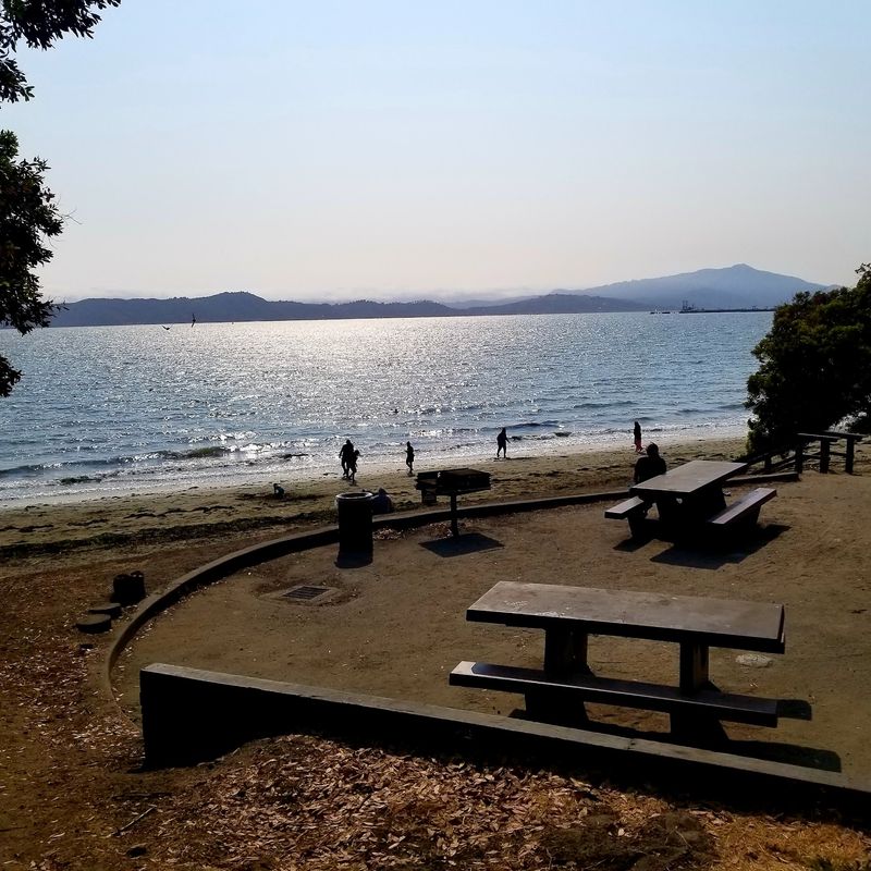 Picnic Tables, Grills, And A Handy Outdoor Shower
