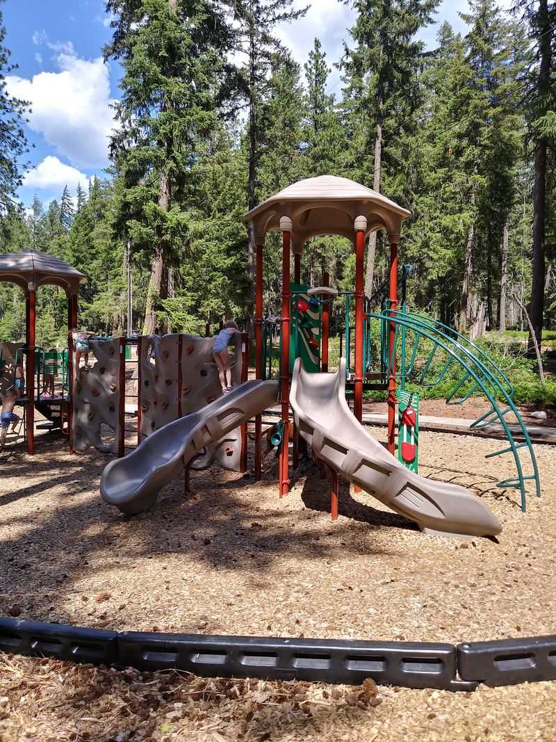 Picnic Tables, Pine Shade, and a Playground for Kids Picnic Tables, Pine Shade, and a Playground for Kids