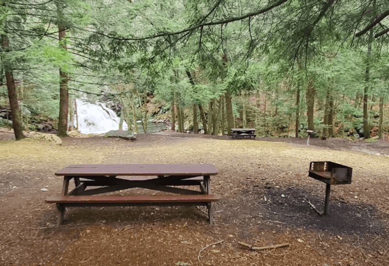 Picnic Tables and Grills by the Cascade