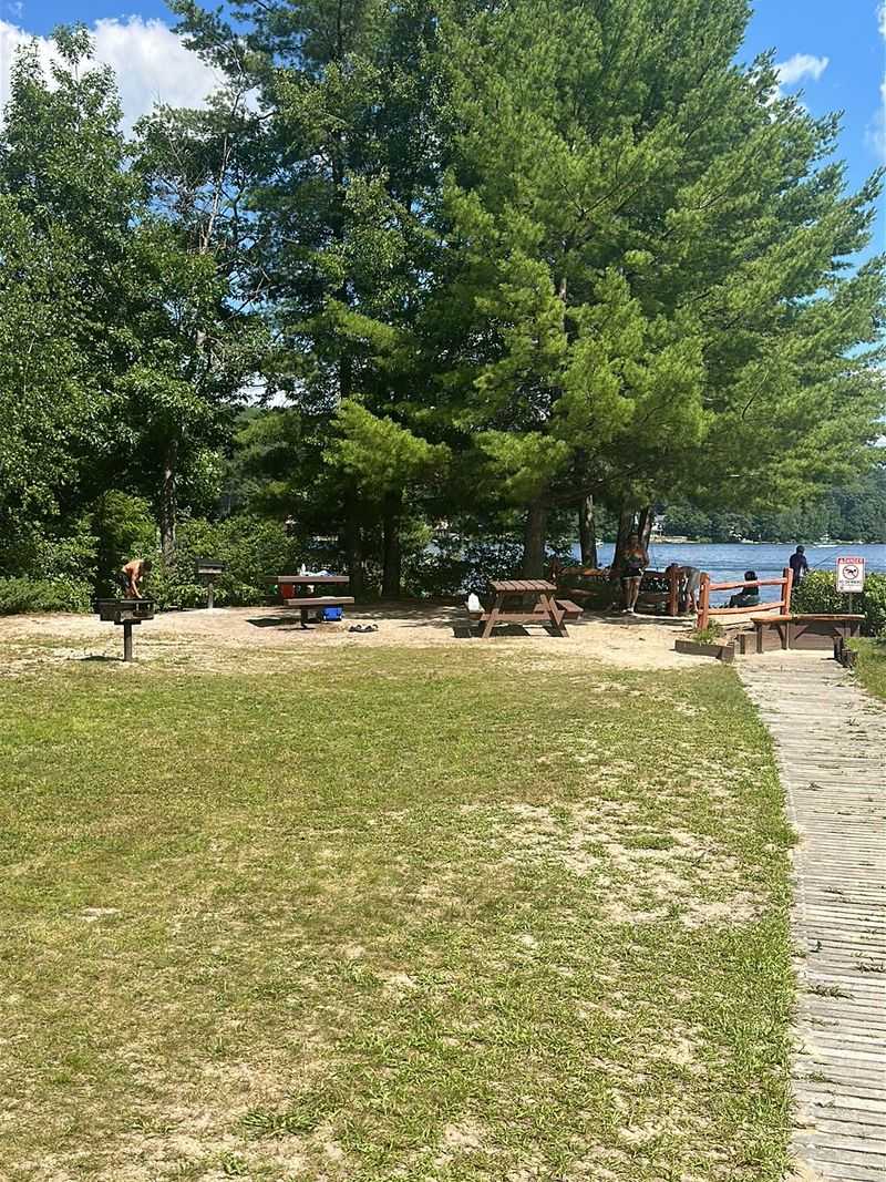 Picnic Tables and Grills in the Shade