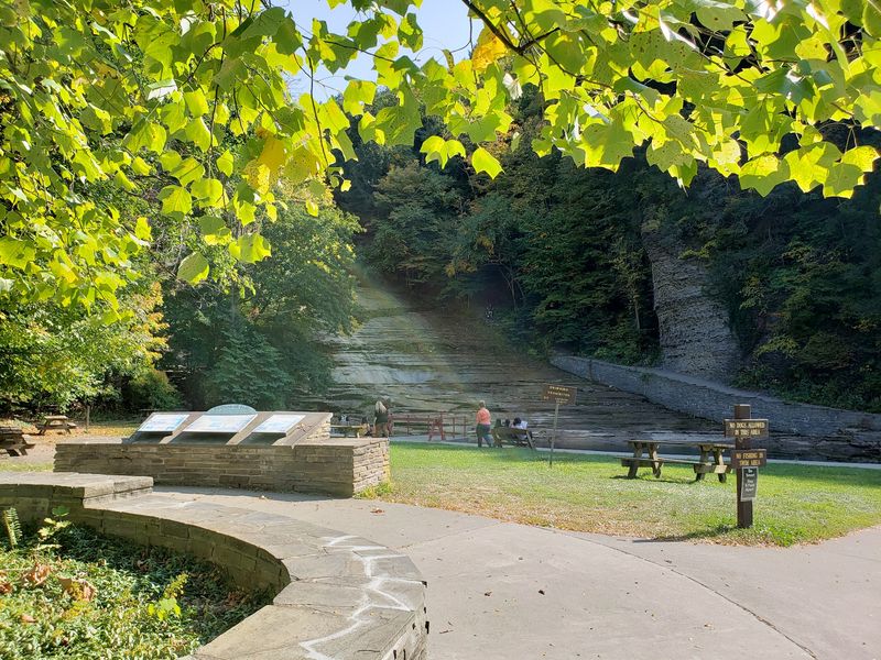 Picnic Tables and Grills in the Shade