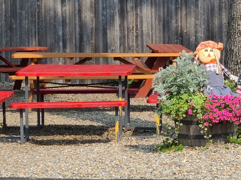 Picnic Tables and Open-Air Seating