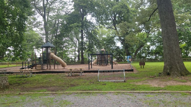 Picnicking and Family-Friendly Amenities
