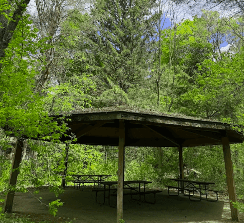 Picnicking and the Pavilion With a Practical Bonus Picnicking and the Pavilion With a Practical Bonus