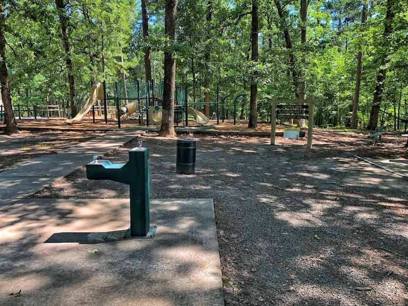 Picnics, Playgrounds, and Fishing at the Pond
