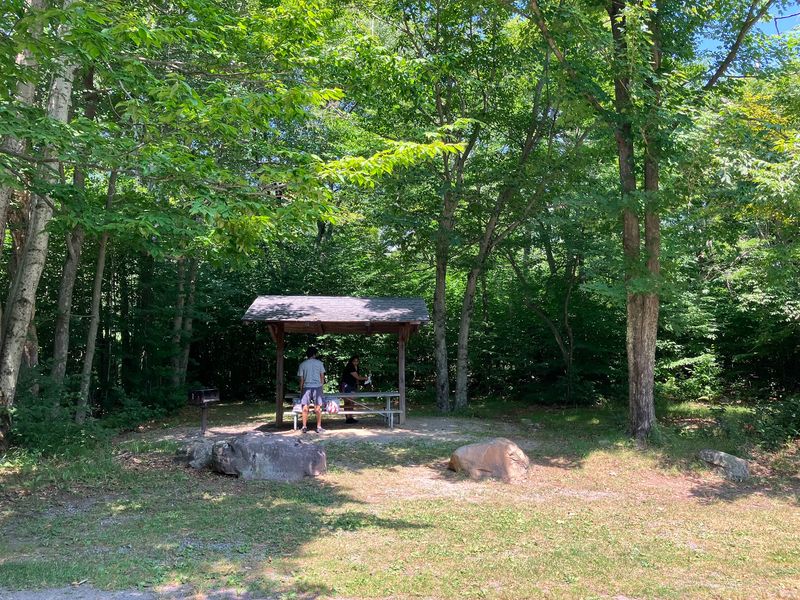 Picnics, Playgrounds, and Unhurried Afternoons Picnics, Playgrounds, and Unhurried Afternoons