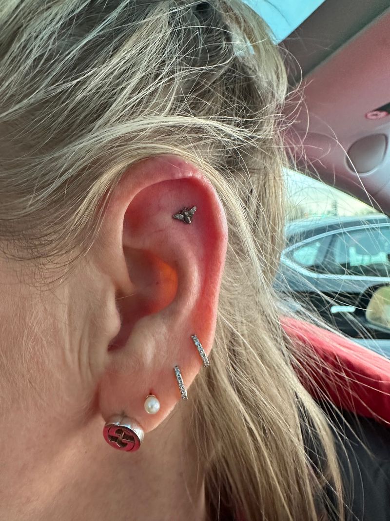 Piercing Services That Go Well Beyond the Basics Piercing Services That Go Well Beyond the Basics