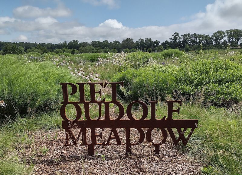 Piet Oudolf's Meadow: A Living Work of Art