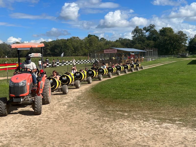 Pig Races, Candy Cannons, and Weekend Magic